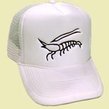 File:Thumbs bb hat.jpg