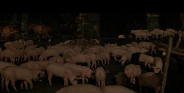 File:Pigs.png