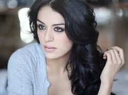 Sofia Essaidi.jpg