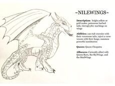 NileWing Profile