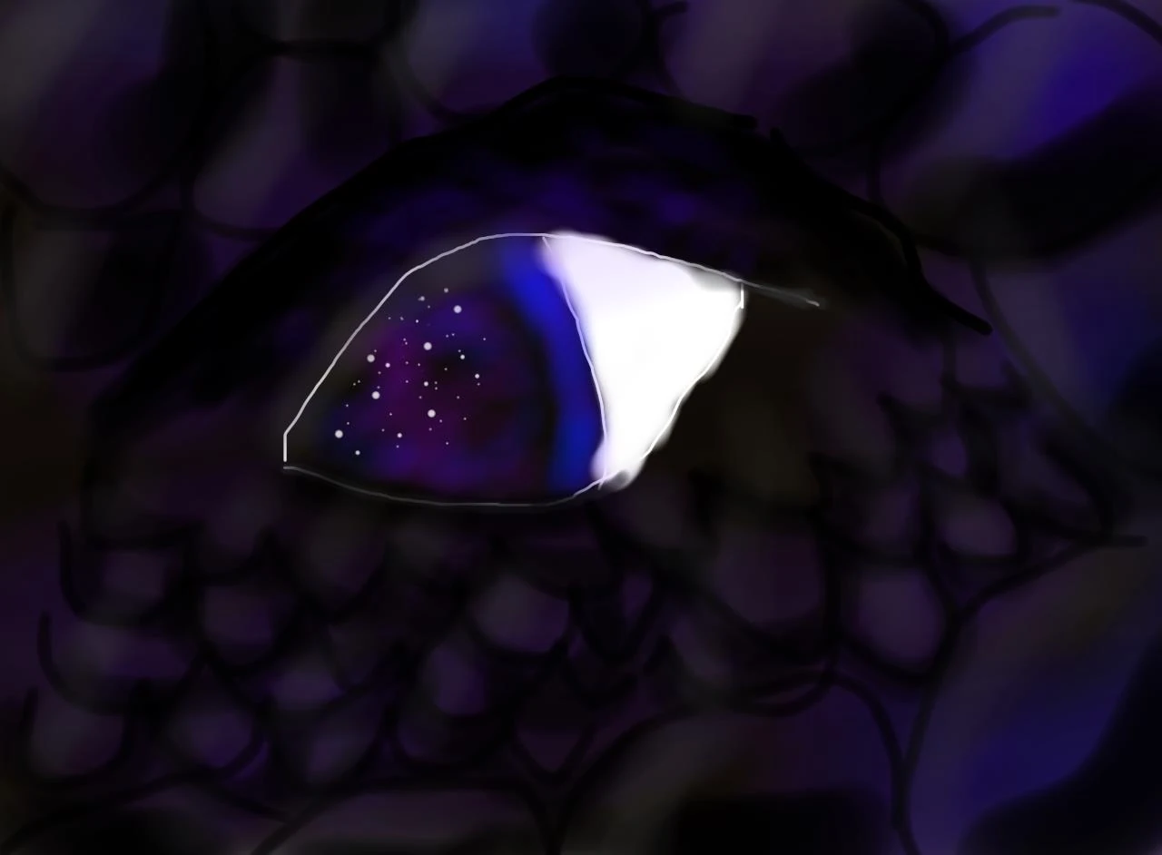 Image - NightWing eye.jpg  Wings of Fire Wiki  FANDOM 