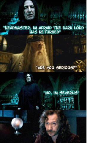 File:Are-You-Serious-harry-potter-27865309-306-500.jpg