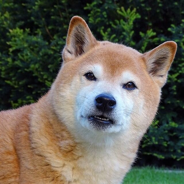 File:Me.jpg
