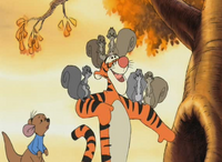Squirrels