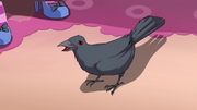 GriffinCuervoT6.png