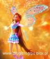 Miniatura wersji z 17:12, kwi 29, 2013
