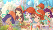 SelkiescomunesT5.png