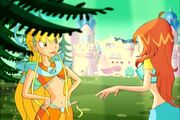 Bariera Magica.jpg