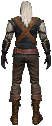 File:Geralt 2 back.png