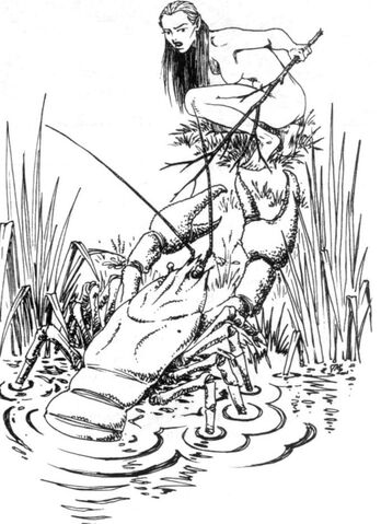 File:Zyrytwa RPG.jpg