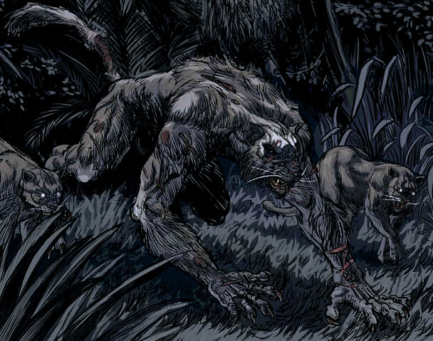 File:Racja stanu werecat.jpg