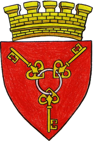 File:COA Novigrad.png