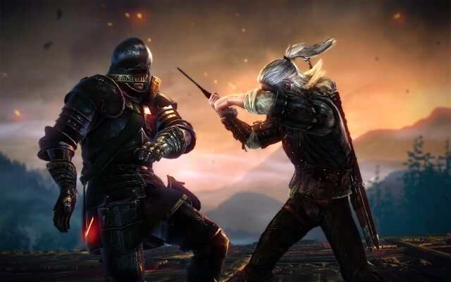 File:Tw2 arena geralt2.jpg