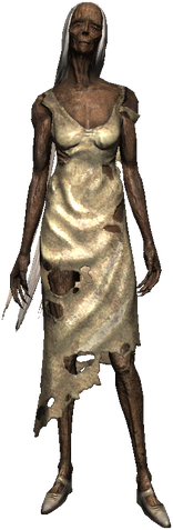File:Bestiary Noonwraith full.png