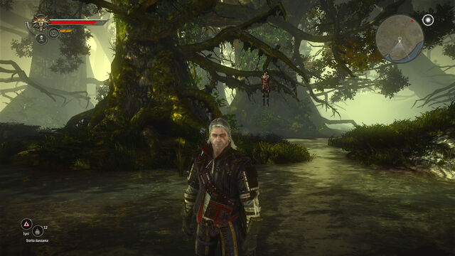 File:Tw2 swamp flotsam.jpg