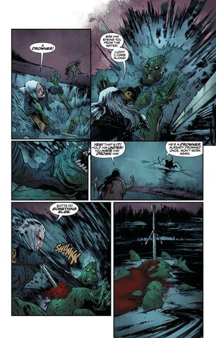 File:The Witcher Dark Horse No1 page5.jpg