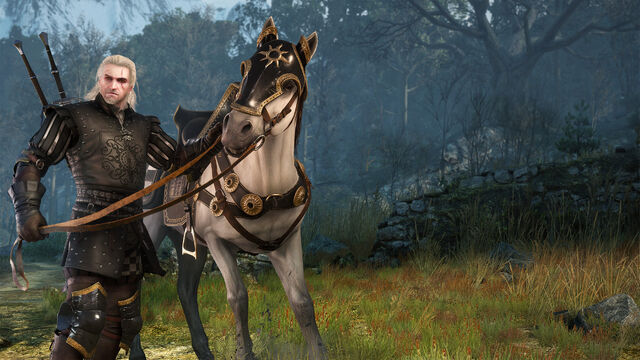 File:Tw nilfgaardian-armor-dlc.jpg