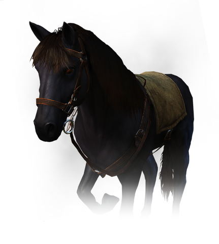 File:Tw3 journal roach q110.png