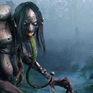 Grave hag | Witcher Wiki | FANDOM powered by Wikia