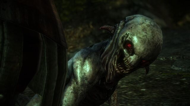 File:Witcher2 2011-10-18 20-26-19-99.jpg