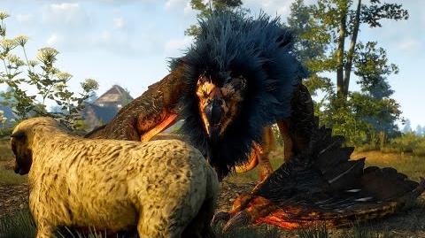 Griffin Creature Witcher Wiki Fandom Powered By Wikia