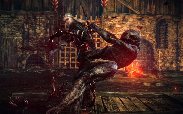 File:Tw2 arena geralt3.jpg