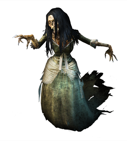 File:Tw3 journal banshee.png