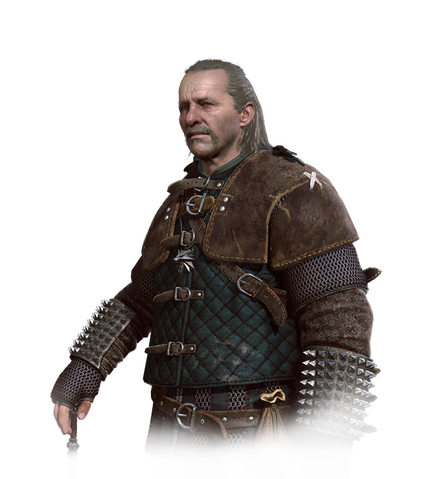File:Tw3 journal vesemir.png