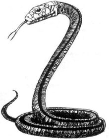 Gra Wyobrazni Scarletia