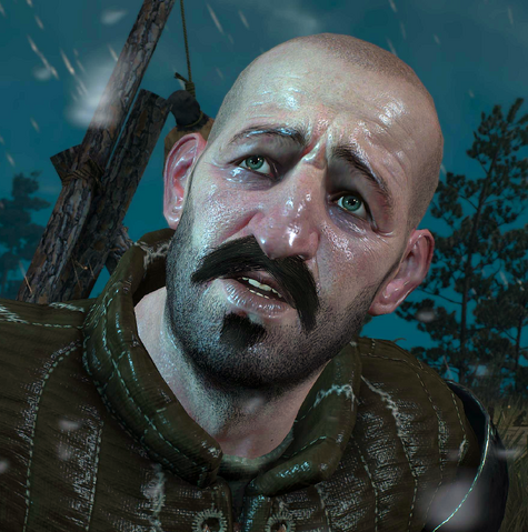 File:Tw3 Dilvyn.png