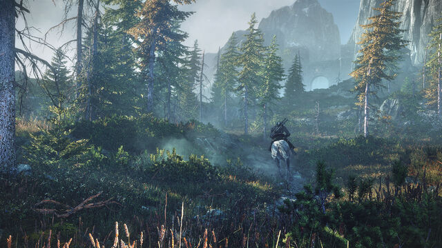 File:Witcher3Wilderness.jpg