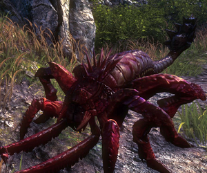 Tw2 Endrega warrior.png