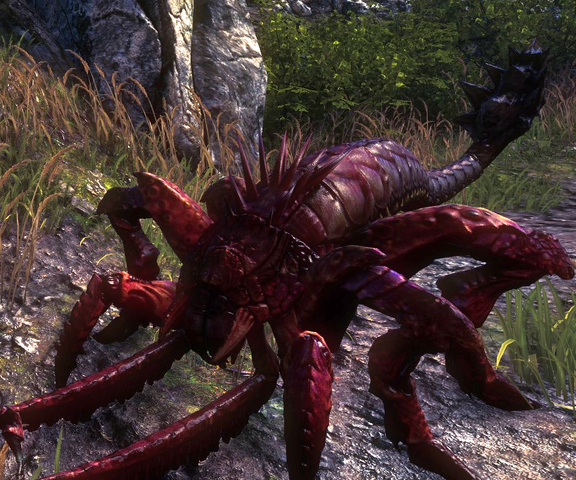 File:Tw2 Endrega warrior.png