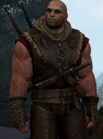 File:Tw3 in-game Letho.png