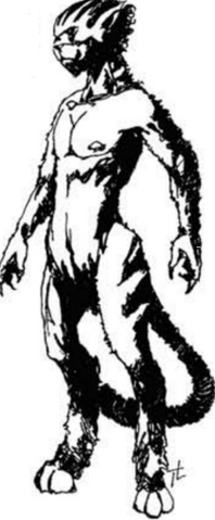 File:Gra Wyobrazni werecat.png