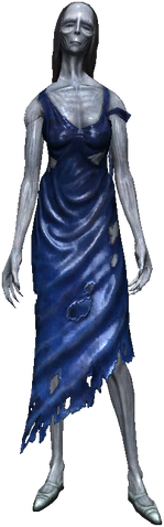 File:Bestiary Nightwraith full.png