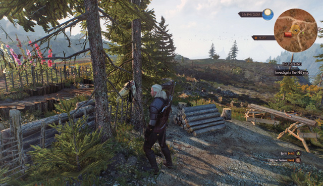 File:Tw3 The Nithing.png