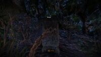 Tw2 screenshot malget.jpg