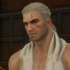 Beard and Hairstyle Set | Witcher Wiki | FANDOM powered by ...