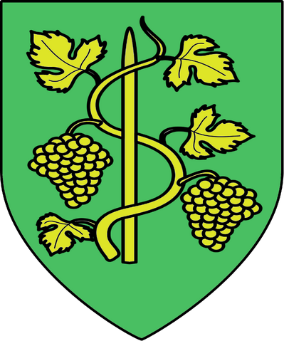 File:COA Toussaint czech.png