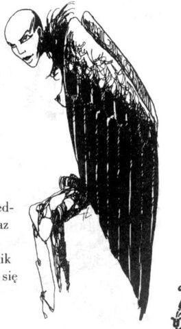File:Harpy RPG.jpg