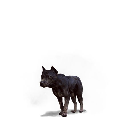 File:Tw3 journal dog.png