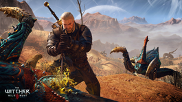 The Witcher 3 Wild Hunt You-Need-to find their Weak Spot