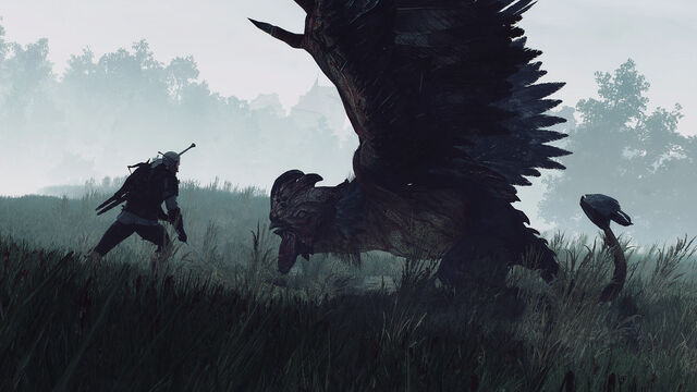File:Tw3 Cockatrice of Oxenfurt.jpg