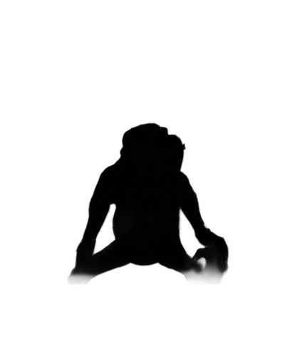 File:Tw3 journal abaya locked.png