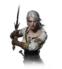 Tw3 journal ciri.png