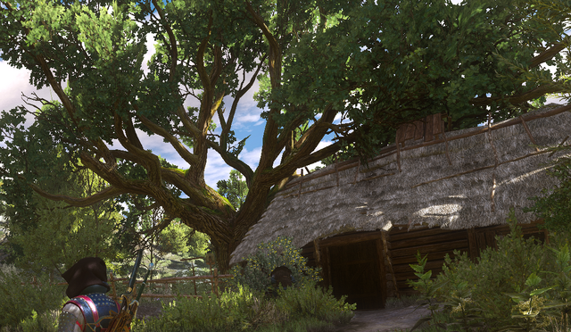 File:Tw3 Topicals hut.png
