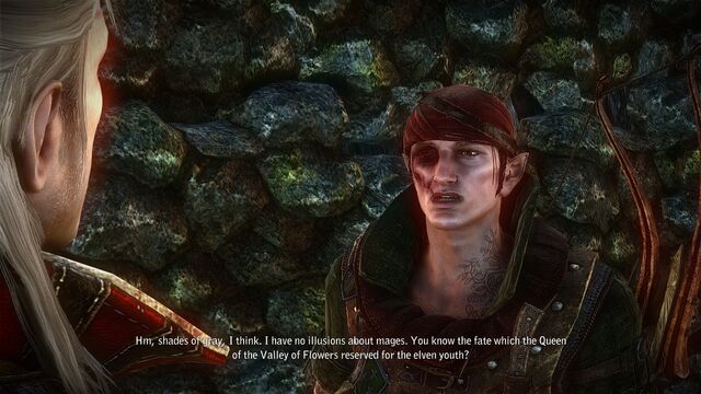 File:Witcher2 2011-05-27 01-22-55-65.jpg