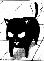 Bagira kitty