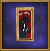 Framed Hairdini Playbill